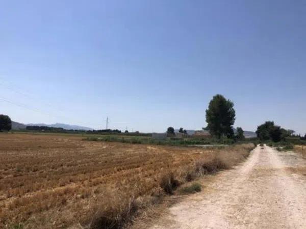 Terreno en Prolongación Elche