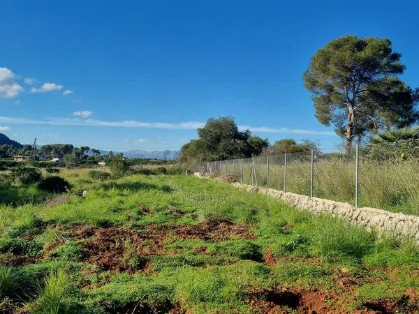 Terreno en calle Lici, 25 -32