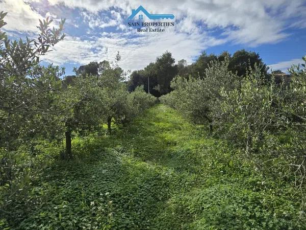 Terreno en Altea la Vella