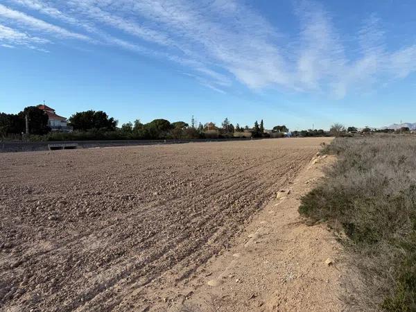 Terreno en camino Saladas