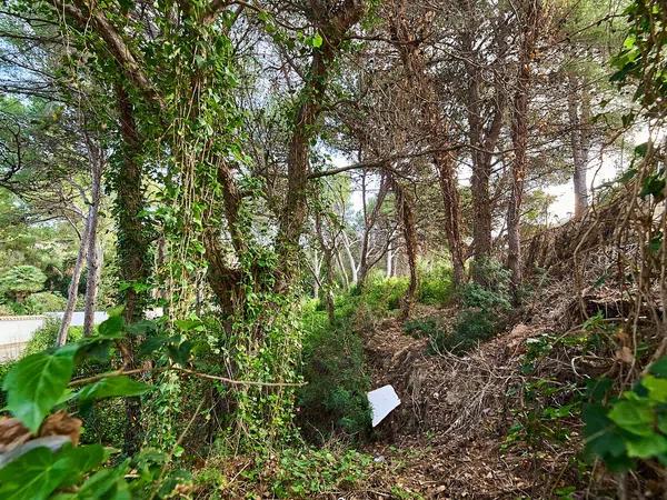 Terreno en calle de Ceres