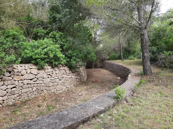 Terreno en calle del Nard, 12