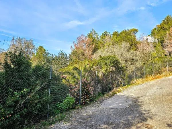 Terreno en calle del Nard, 12