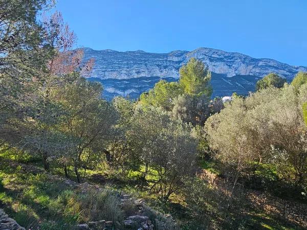 Terreno en calle del Nard, 12