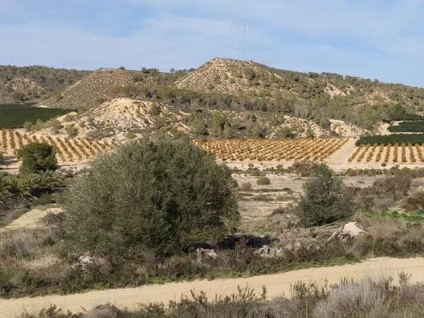 Terreno en Desamparados-Hurchillo-Torremendo