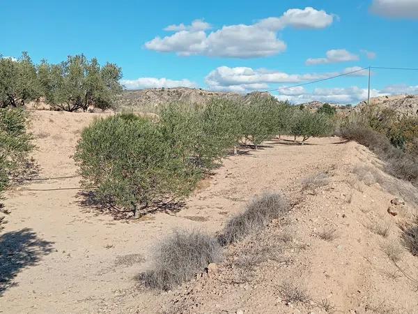 Terreno en La Galia-Bonavista