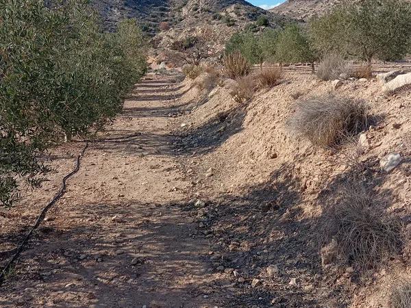 Terreno en La Galia-Bonavista