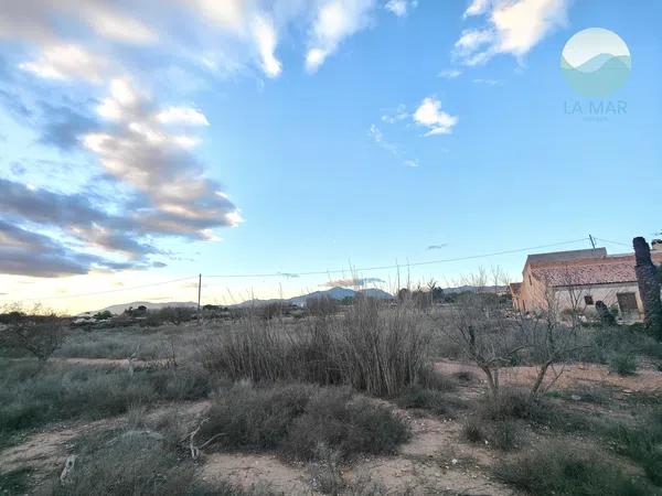 Terreno en Partida Canastel Polig e