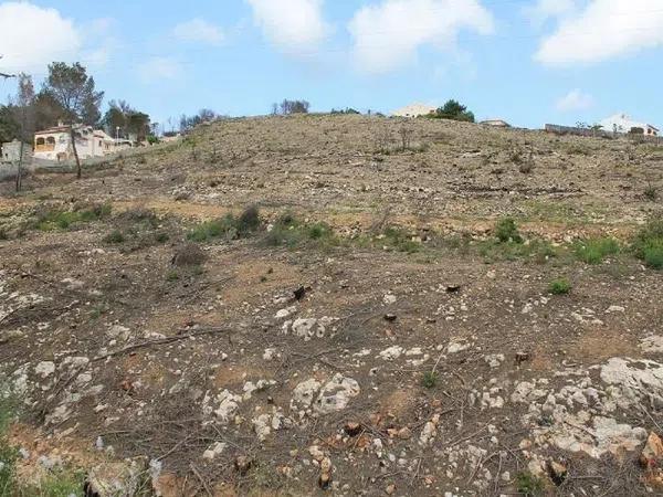 Terreno en Cap Martí - Pinomar