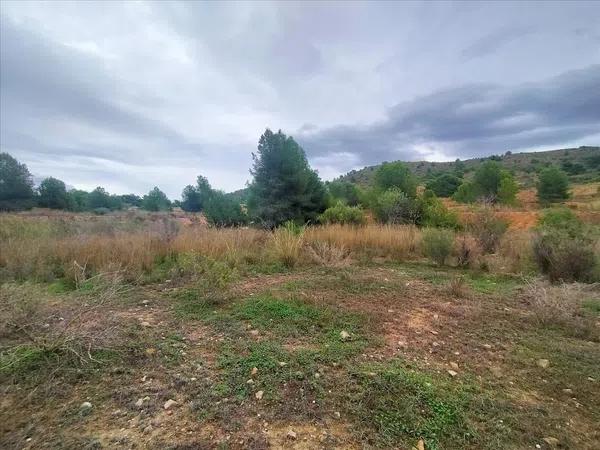 Terreno en Platja de Torres