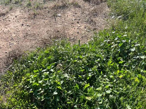 Terreno en La Galia-Bonavista