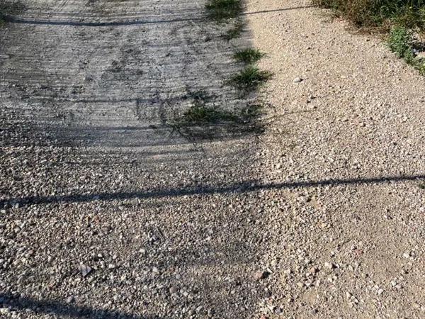 Terreno en La Galia-Bonavista