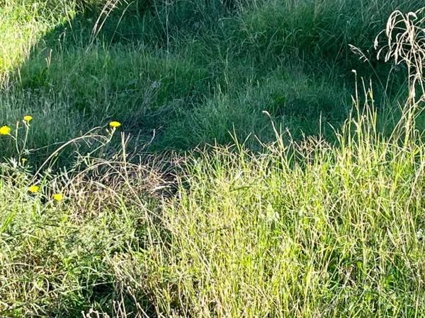 Terreno en La Galia-Bonavista