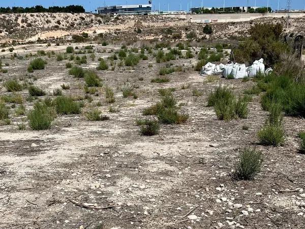 Terreno en Peña de Las Águilas