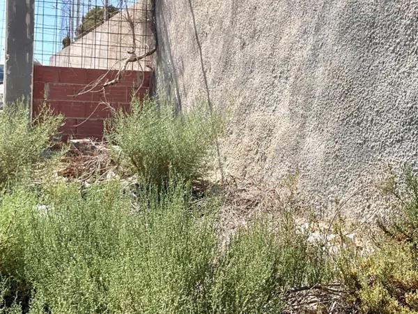 Terreno en Peña de Las Águilas