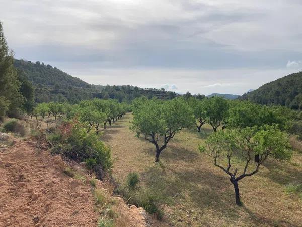 Terreno en Partida Casamia, 15