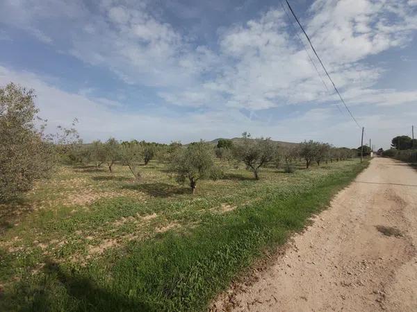 Terreno en Cabanes y Las Fuentes