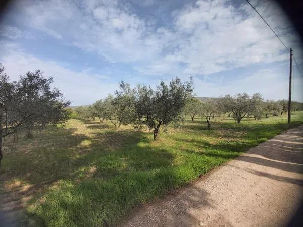 Terreno en Cabanes y Las Fuentes