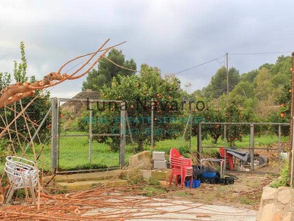 Terreno en Partida la Pila