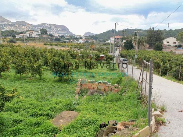 Terreno en Partida la Pila