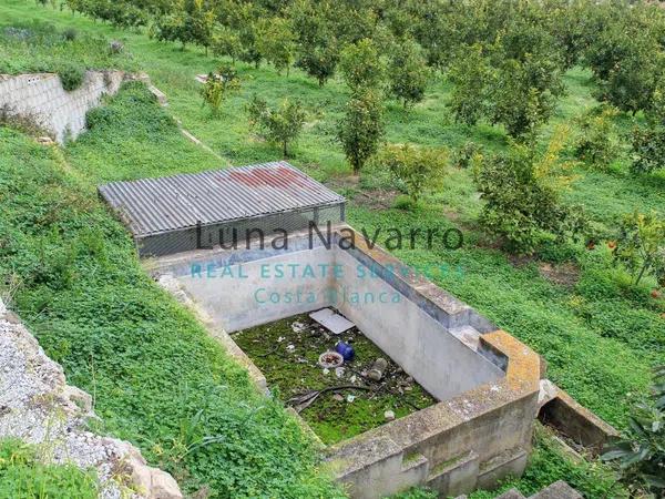 Terreno en Partida la Pila