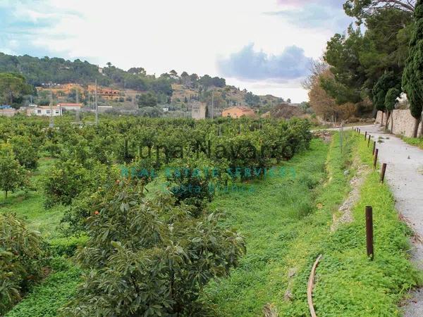 Terreno en Partida la Pila