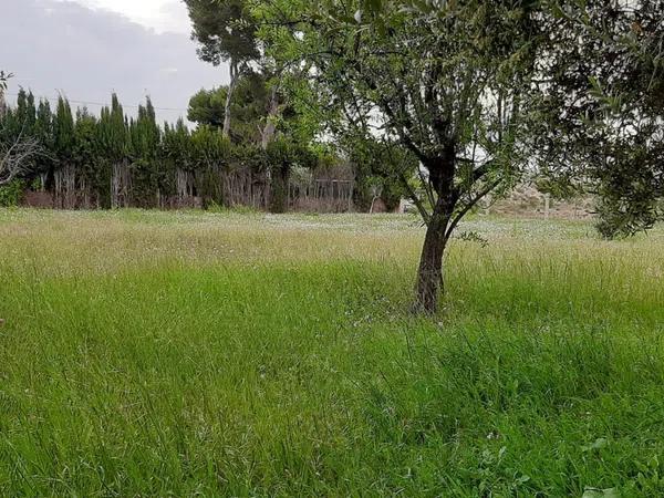 Terreno en Jubalcoi-Saladas