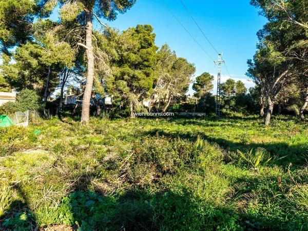 Terreno en La Granadella - Costa Nova