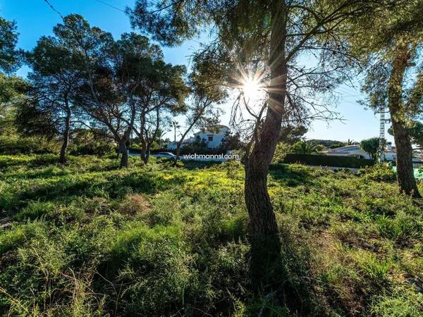 Terreno en La Granadella - Costa Nova