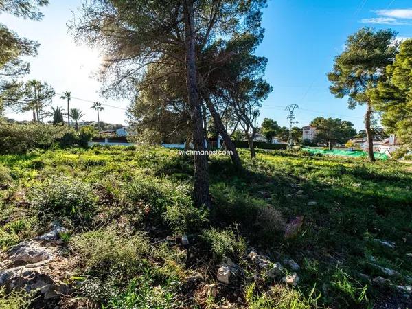 Terreno en La Granadella - Costa Nova