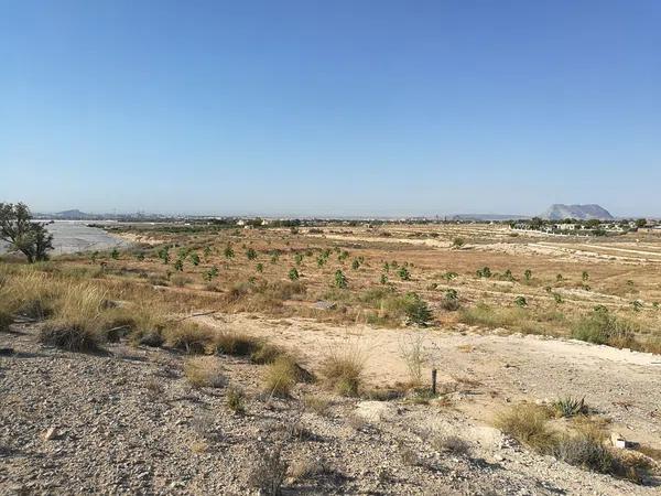 Terreno en Partida Baiona Alta, 10