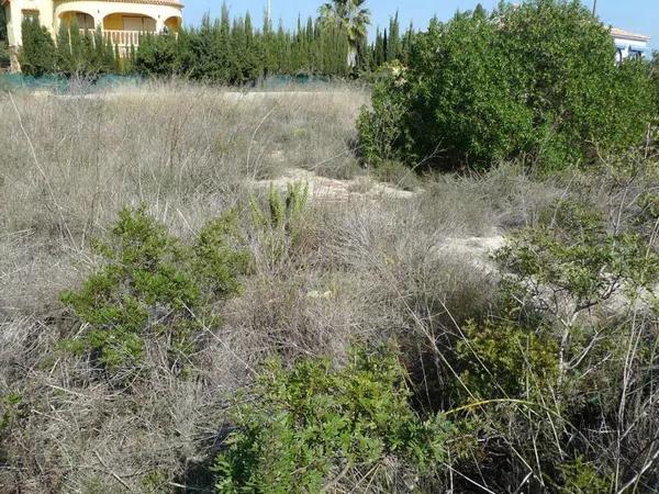 Terreno en Oltamar-Cucarres