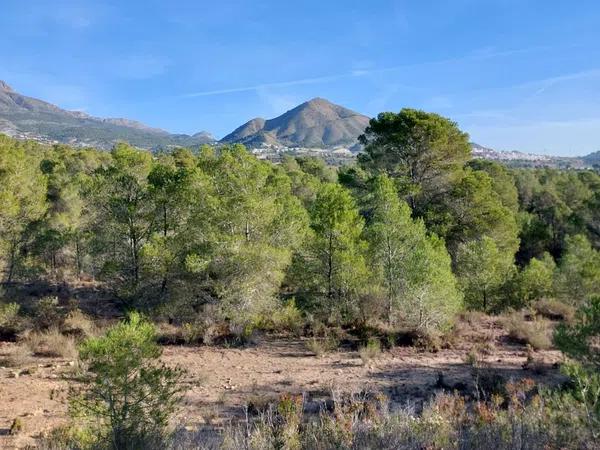 Terreno en Partida la Robella