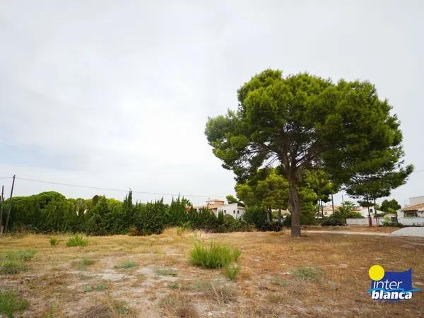 Terreno en alto Urbanización Carrió