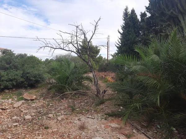 Terreno en El Montgó