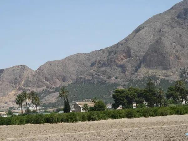 Terreno en Montepinar-La Aparecida-Raiguero