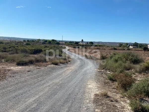 Terreno en camino del Vincle a la Vereda de Dolores