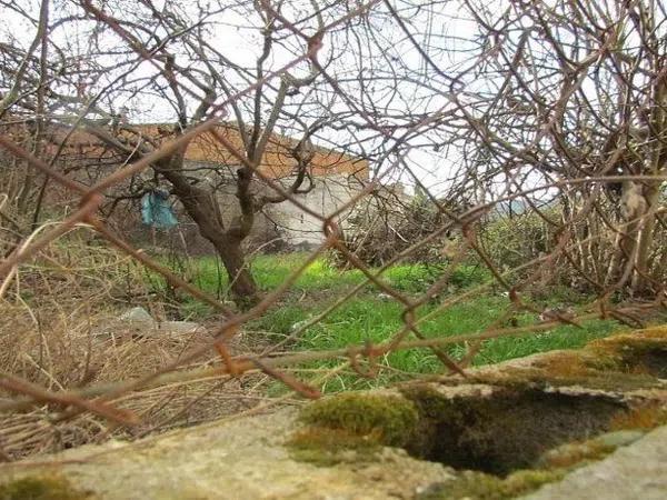 Terreno en calle Relleu