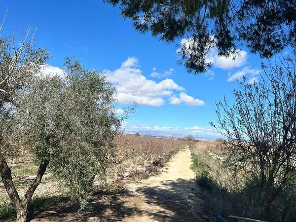 Terreno en carretera Cv-851, km 8