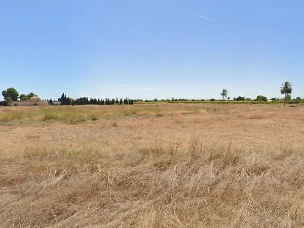 Terreno en carretera Elx - Santa Pola