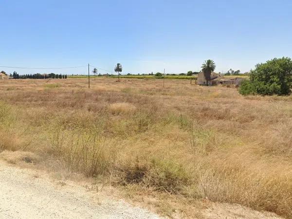 Terreno en carretera Elx - Santa Pola