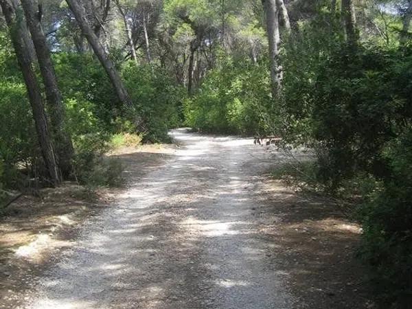 Terreno en Partida Torrecarrals