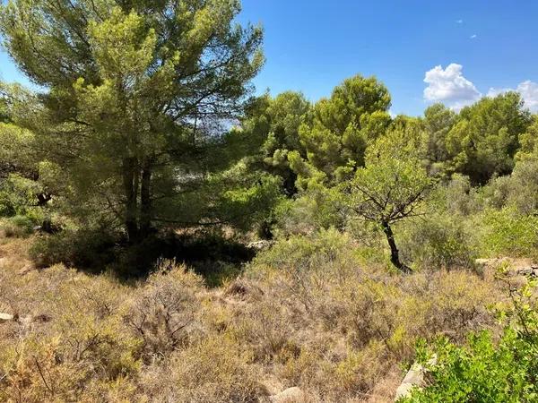 Terreno en calle Badajoz