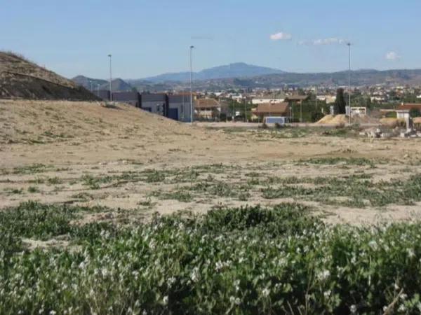 Terreno en camino de Pisana