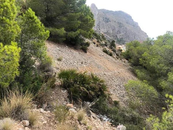 Terreno en calle Gran Bretaña