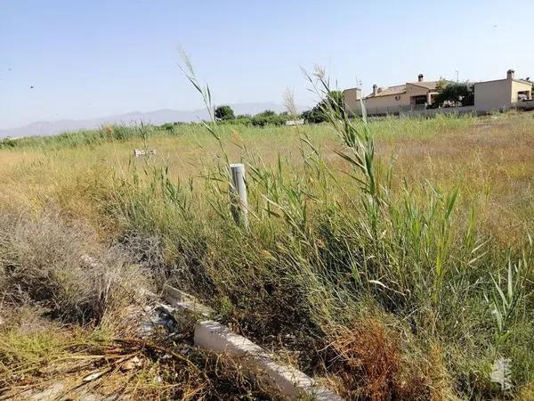 Terreno en Orihuela Ciudad