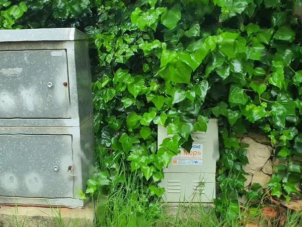 Terreno en calle Alber, 21