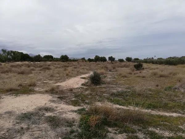 Terreno en La Huerta