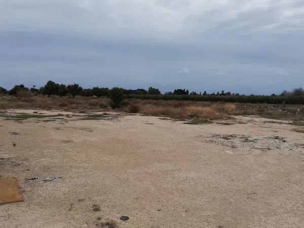 Terreno en La Huerta