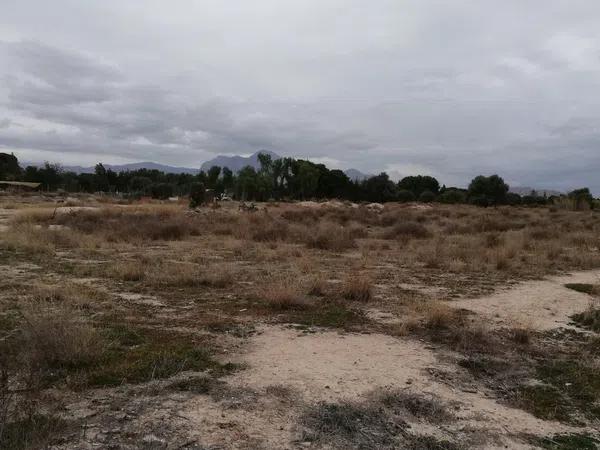 Terreno en La Huerta